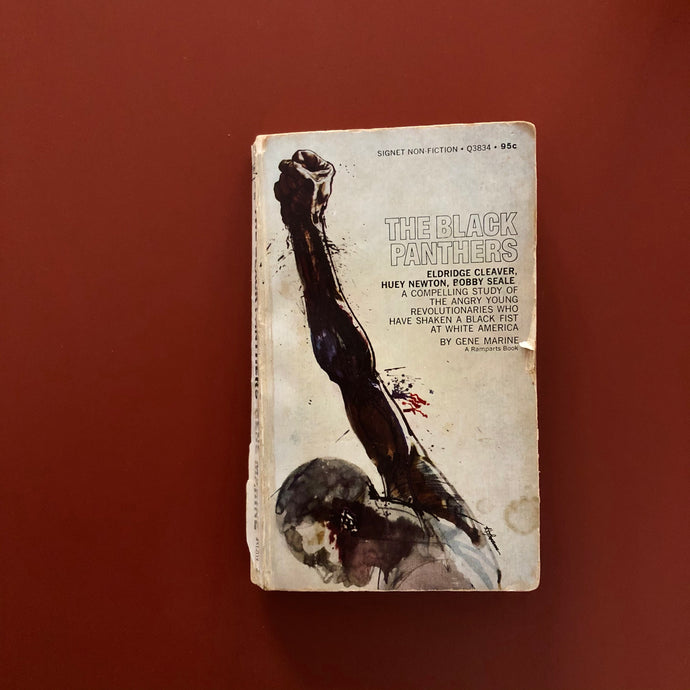 The Women of The Black Panthers