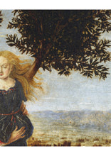 Load image into Gallery viewer, Sendb00ks Metamorphoses: One Volume