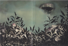 Load image into Gallery viewer, Sendb00ks Metamorphoses: One Volume