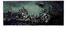 Load image into Gallery viewer, Sendb00ks Metamorphoses: One Volume