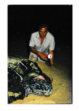 Load image into Gallery viewer, David Attenborough The Living Planet