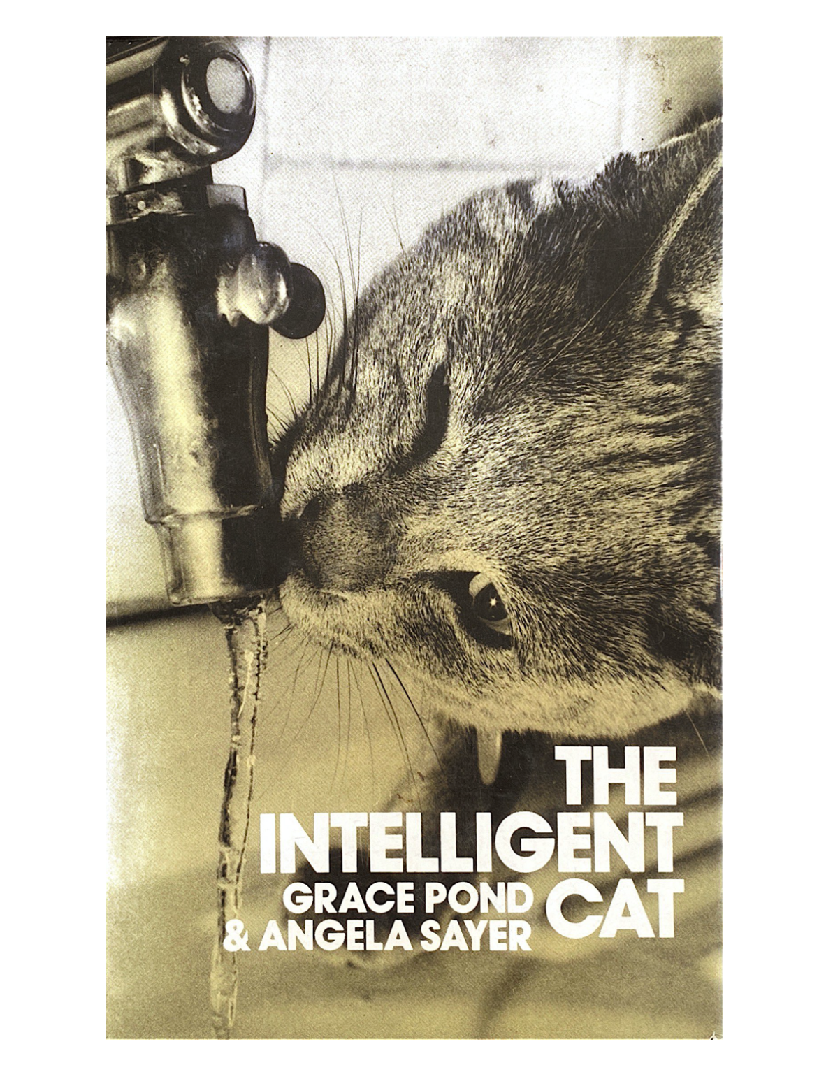Grace Pond & Angela Sayer The Intelligent Cat