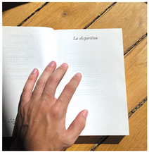 Load image into Gallery viewer, Georges Perec La Disparition